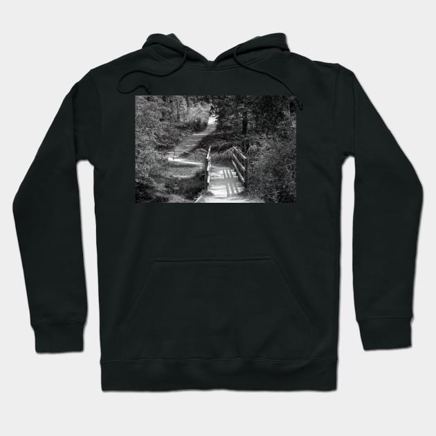 a bridge to nowhere Hoodie by AKwords